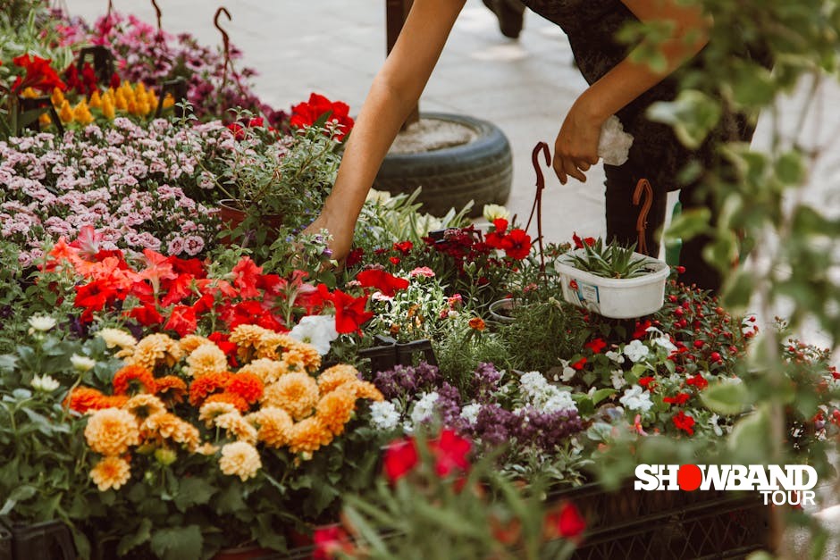 flower color selection