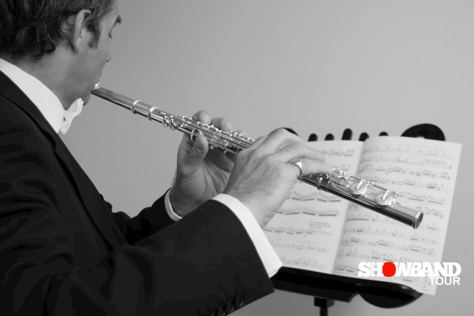 repertoire selection for musicians