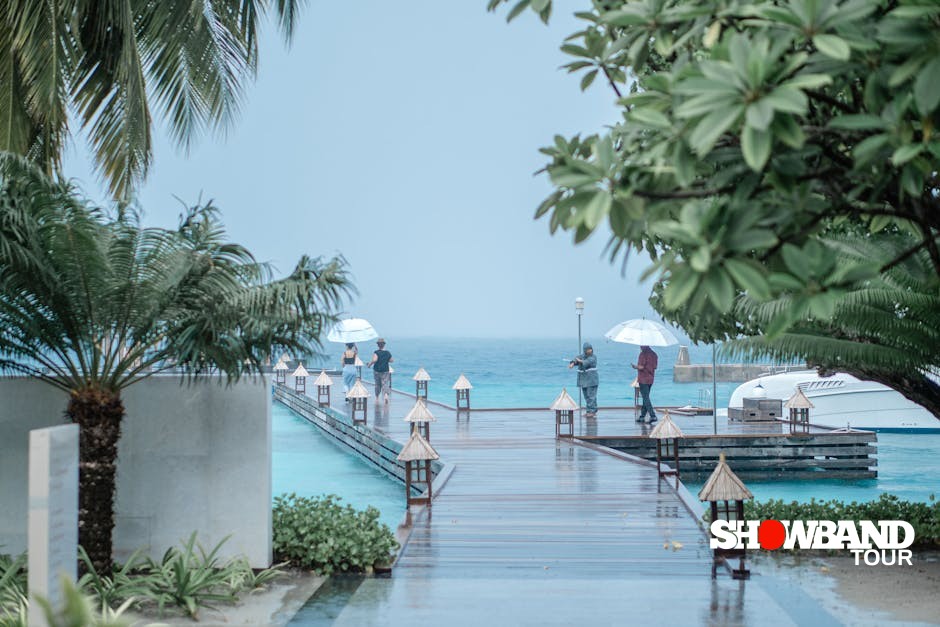 guests under rain