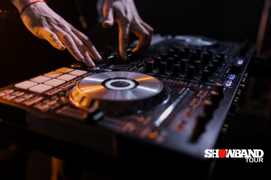 professional DJ performance