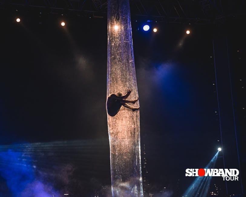 show program performance